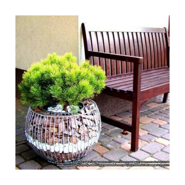 ✅Donica Gabionowa Olimpia Basic L  - Stonesgarden.pl ®