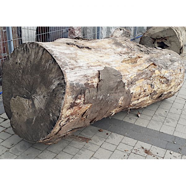 Pień/ Kłoda Buk ⌀90cm x 2,4m:...