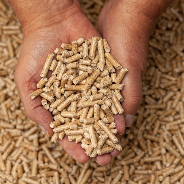 Sylva Pellet Drzewny DIN PLUS A1 6mm