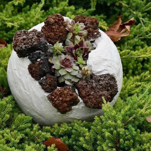 ✅Kompozycja Dekoracyjna z Rojnikiem ✅-Stonesgarden.pl®✅ ✅Kompozycja Dekoracyjna z Rojnikiem ✅-Stonesgarden.pl®✅