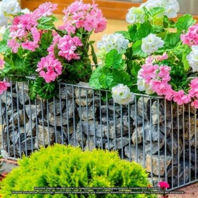 ✅Donica Gabionowa Emerald S - Stonesgarden.pl ®