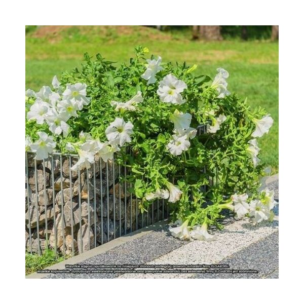✅Donica Gabionowa Emerald S - Stonesgarden.pl ®