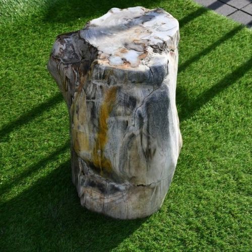 ❤️ LEGNO FOSSILE LUCIDO MONOLITH- StonesGarden.pl ®