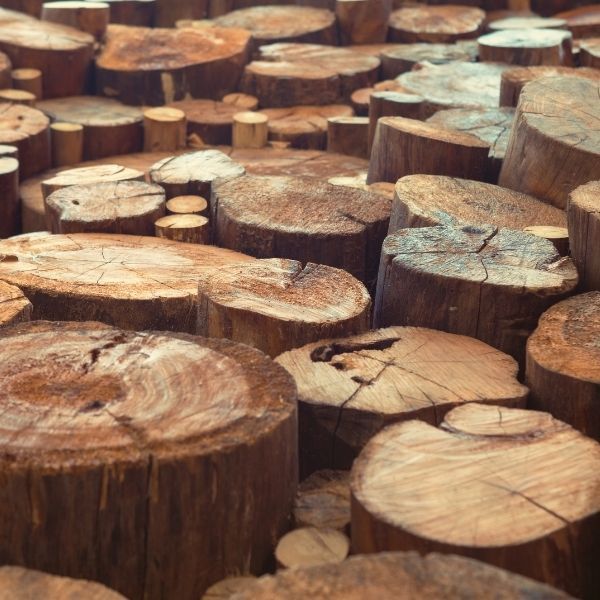 ✅Pień Do Rąbania Drewna-Stonesgarden.pl®✅