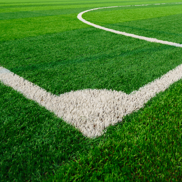 Trawa Samozagęszczająca Sportowa...