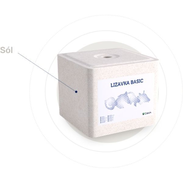 Lizawka Solna BASIC