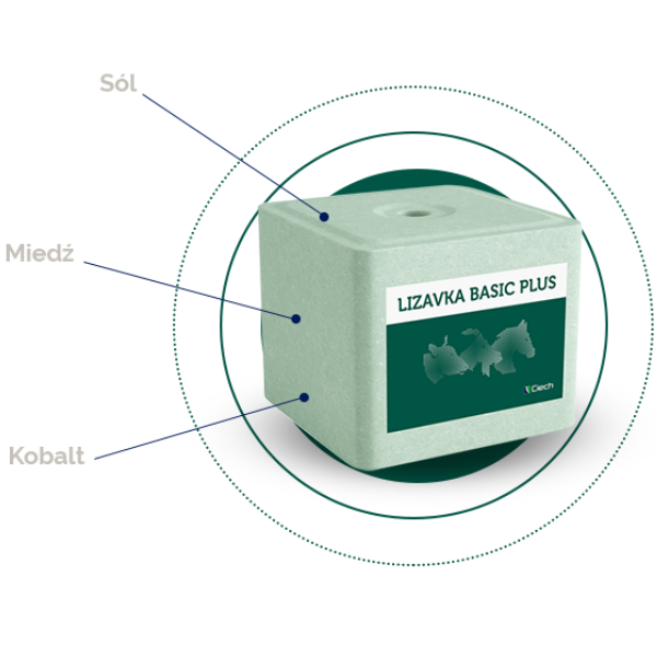 Lizawka Solna BASIC PLUS