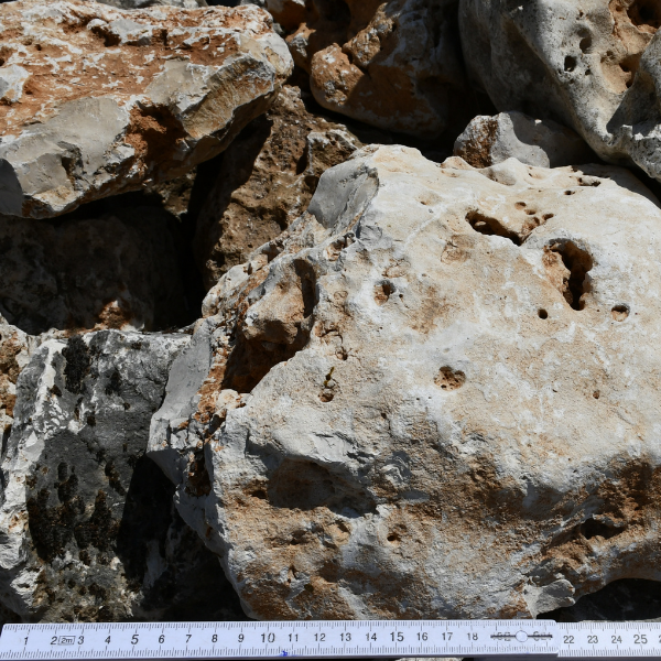✅ Moon Stone 200x400mm - Stonesgarden.pl