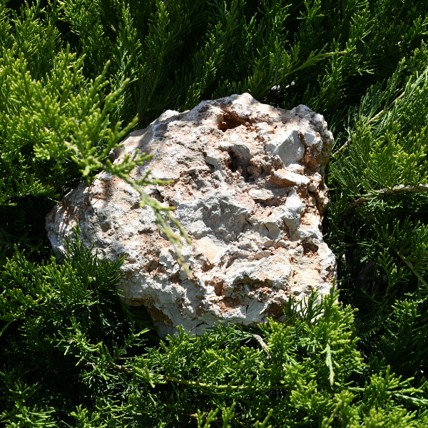 ✅ Moon Stone 200x400mm - Stonesgarden.pl