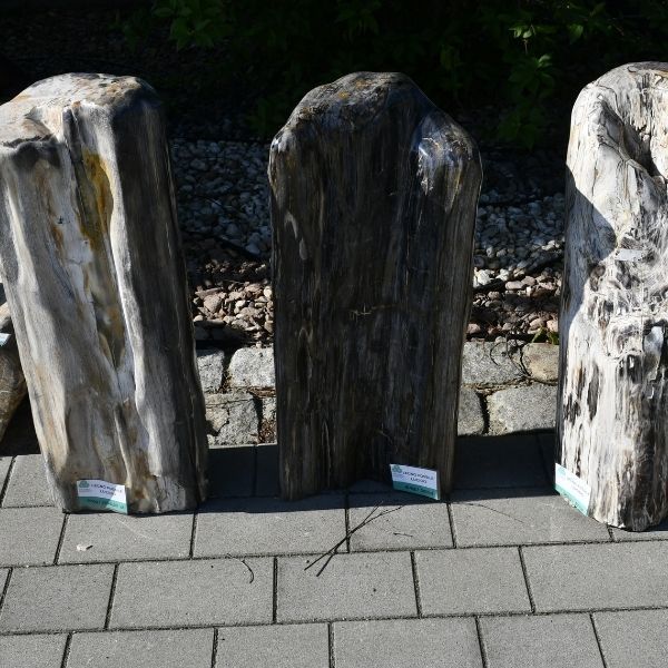 Legno Fossile Lucido Monolith